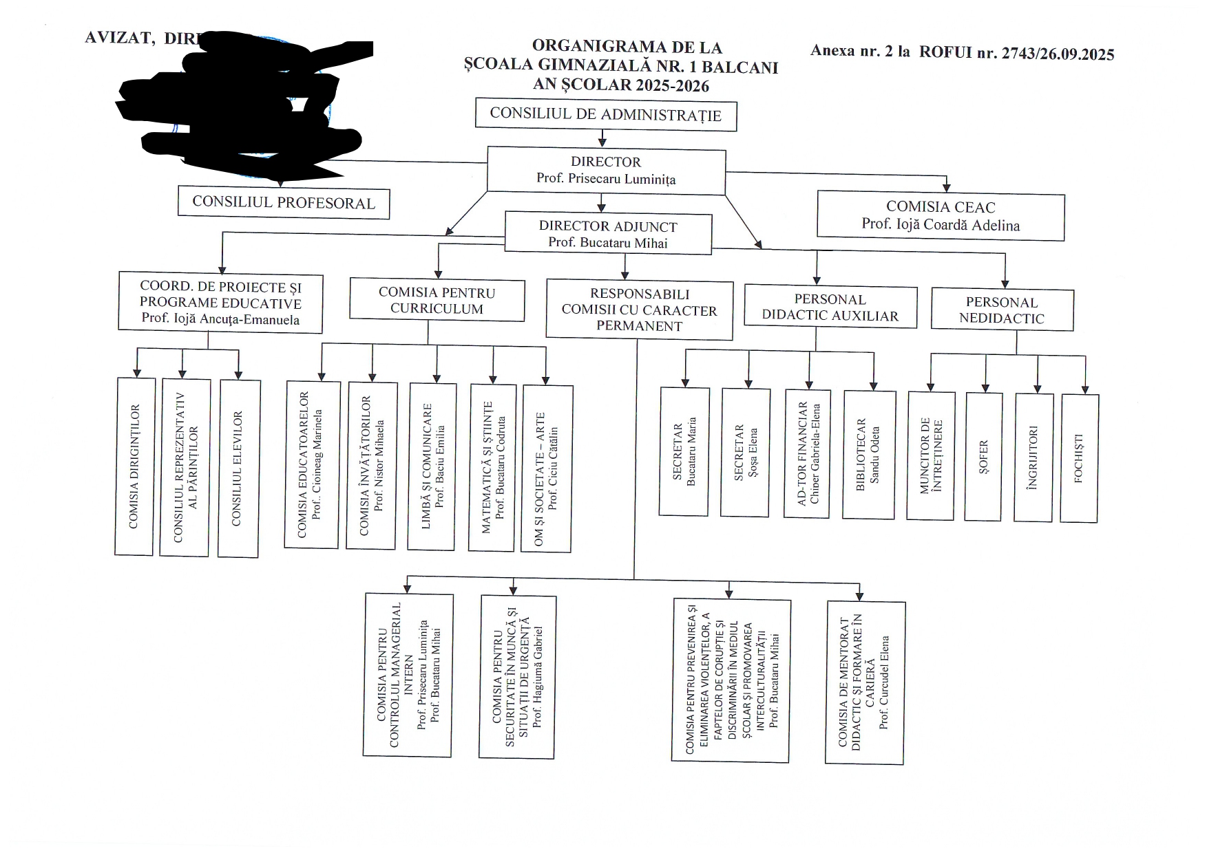  Organigrama Scoala Balcani